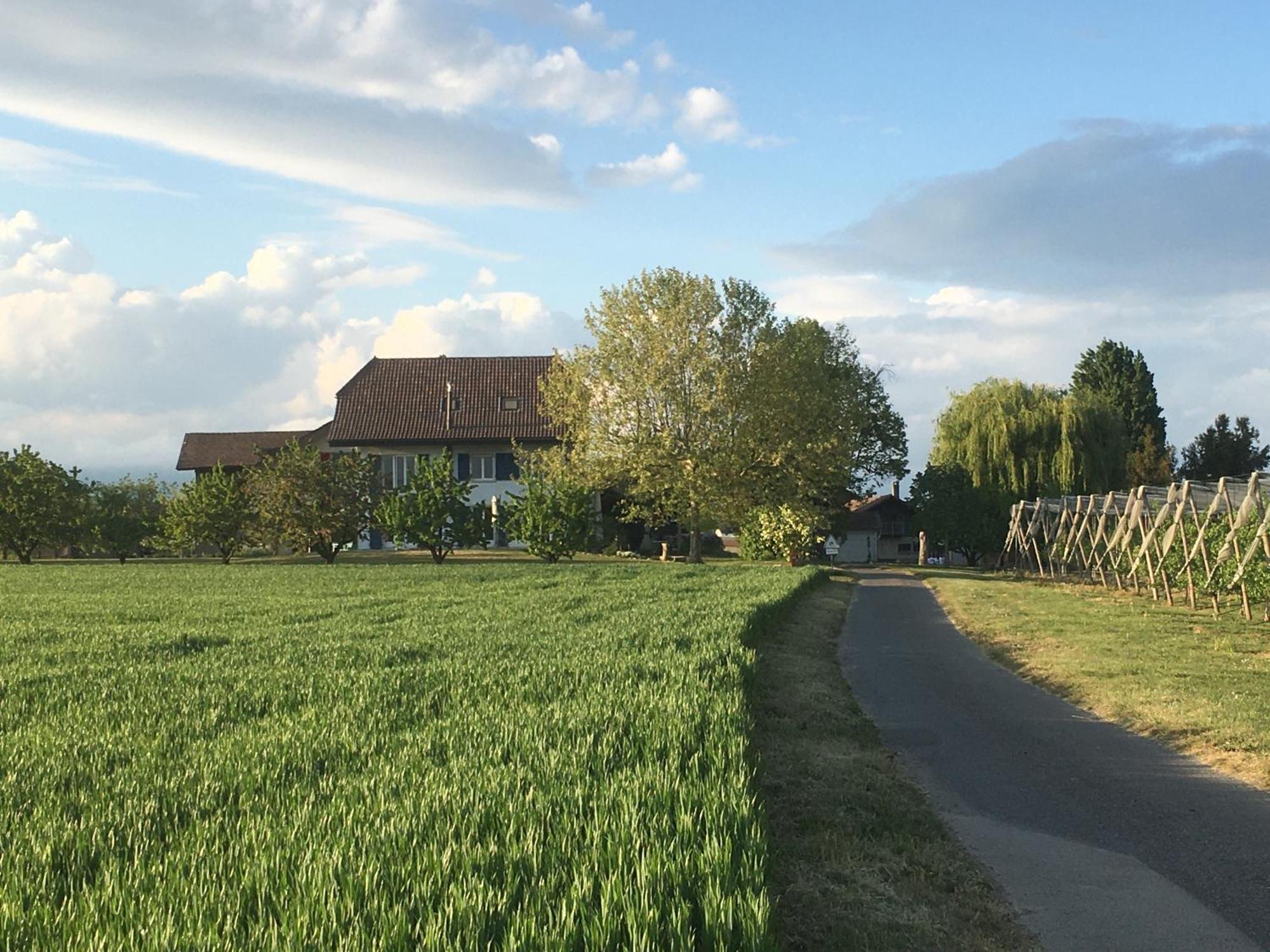 B&B Domaine En Trembley Commugny Kültér fotó