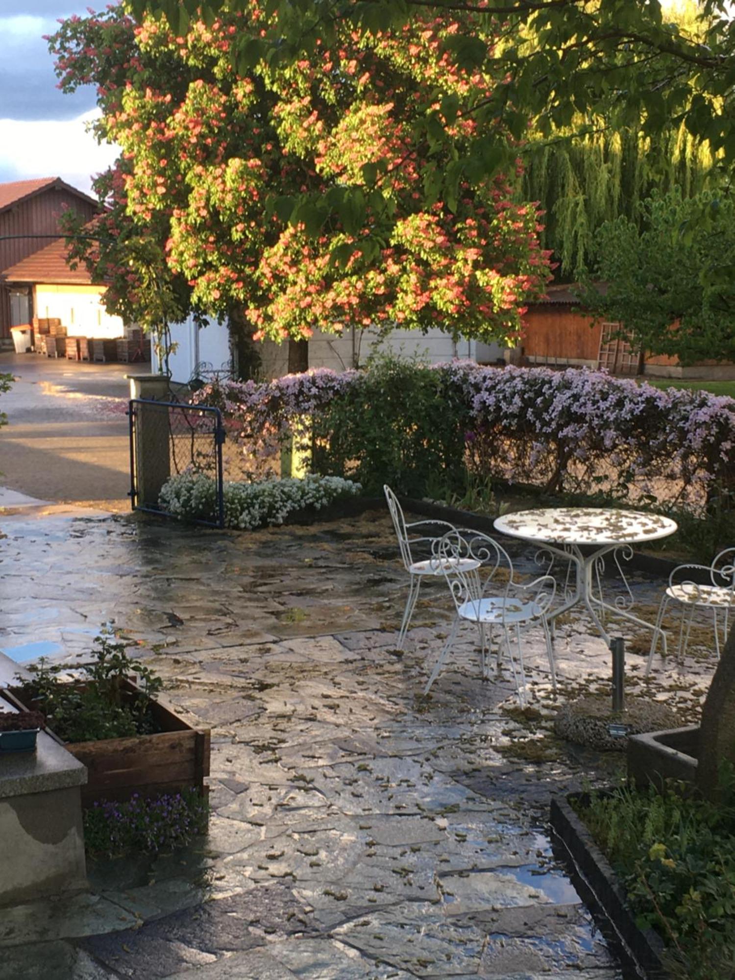 B&B Domaine En Trembley Commugny Kültér fotó